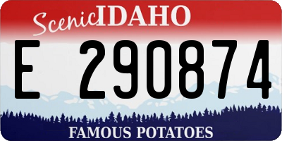ID license plate E290874