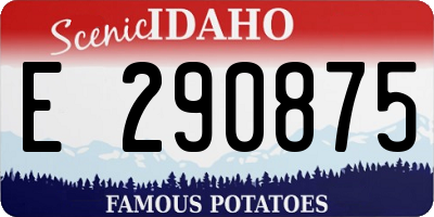 ID license plate E290875