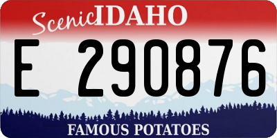 ID license plate E290876