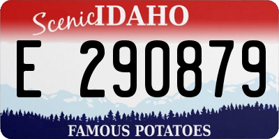 ID license plate E290879