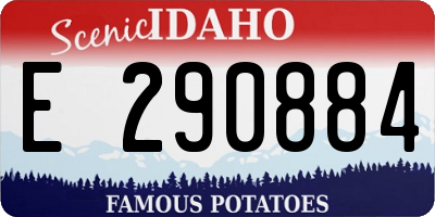 ID license plate E290884
