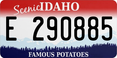 ID license plate E290885
