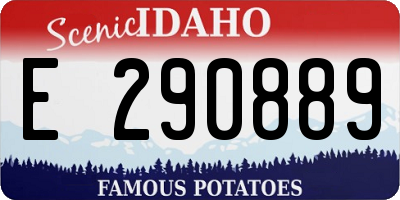 ID license plate E290889
