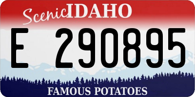 ID license plate E290895