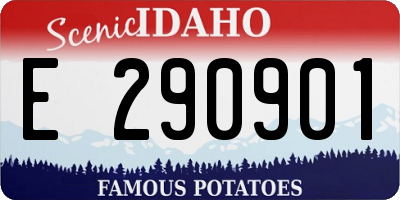ID license plate E290901
