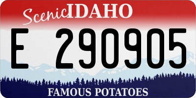 ID license plate E290905