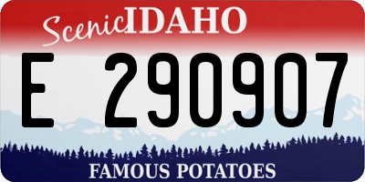 ID license plate E290907