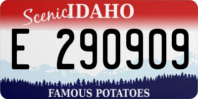 ID license plate E290909
