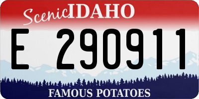 ID license plate E290911