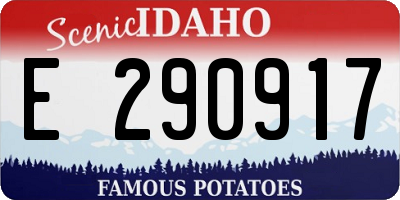 ID license plate E290917