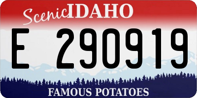 ID license plate E290919