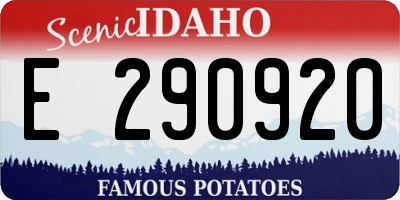 ID license plate E290920