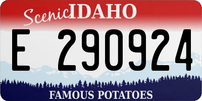 ID license plate E290924