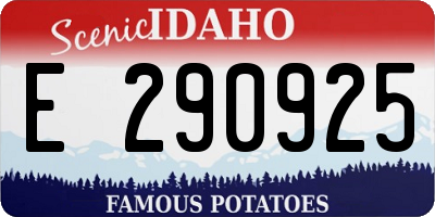 ID license plate E290925