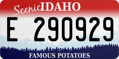ID license plate E290929