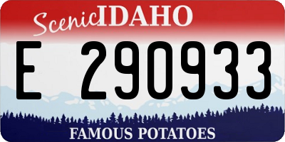 ID license plate E290933