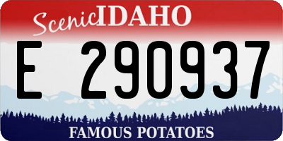 ID license plate E290937