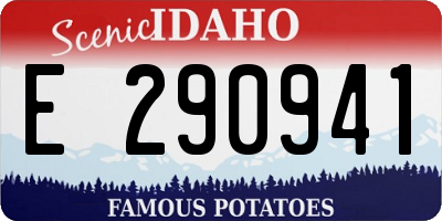 ID license plate E290941