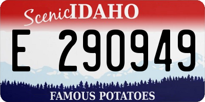 ID license plate E290949