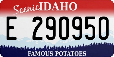 ID license plate E290950