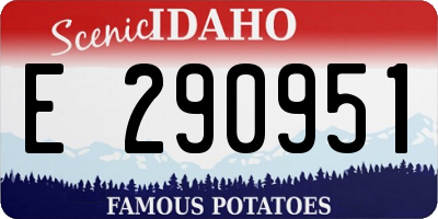 ID license plate E290951