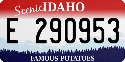 ID license plate E290953