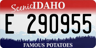 ID license plate E290955