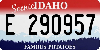 ID license plate E290957