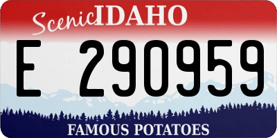 ID license plate E290959