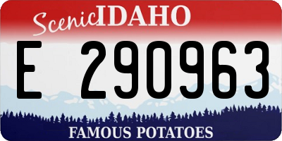 ID license plate E290963