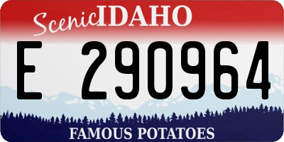 ID license plate E290964