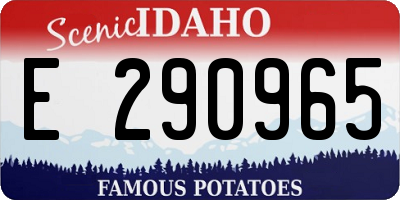 ID license plate E290965