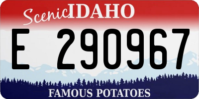 ID license plate E290967