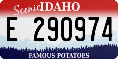 ID license plate E290974