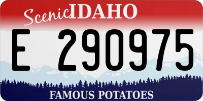 ID license plate E290975