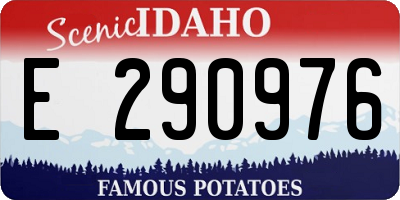 ID license plate E290976