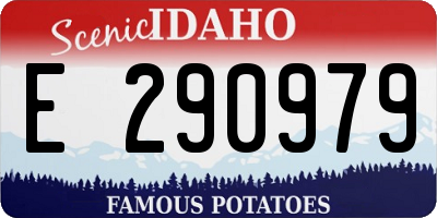 ID license plate E290979
