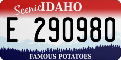 ID license plate E290980