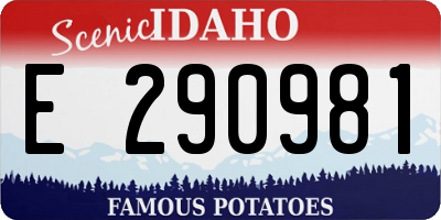 ID license plate E290981