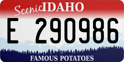 ID license plate E290986