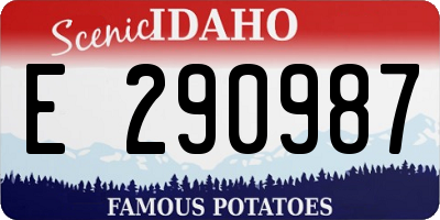 ID license plate E290987