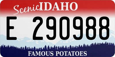 ID license plate E290988