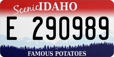 ID license plate E290989