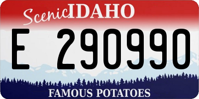 ID license plate E290990