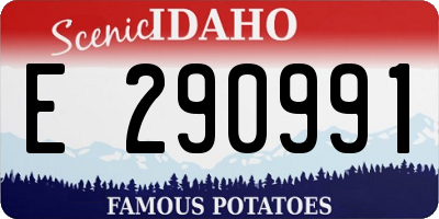 ID license plate E290991