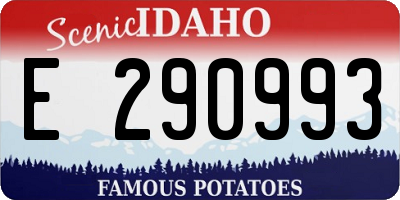 ID license plate E290993