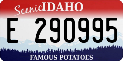 ID license plate E290995