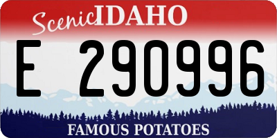 ID license plate E290996