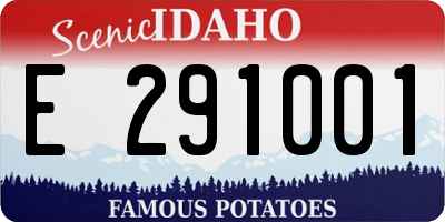 ID license plate E291001