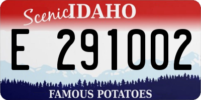 ID license plate E291002